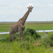 slides/africa-25.jpg  africa-25