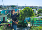 slides/L1067876.jpg  L1067876