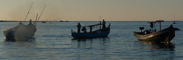 slides/L1069885.jpg  L1069885