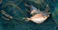 slides/L1069893.jpg  L1069893