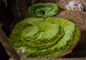 slides/L1070005.jpg  L1070005