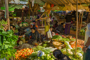 slides/L1070015.jpg  L1070015