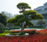 slides/L1068546.jpg  L1068546