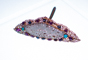 slides/L1068551.jpg  L1068551